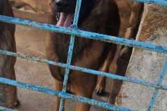 1feda855-4e17-456b-ba0f-2ae83cdf3f0b