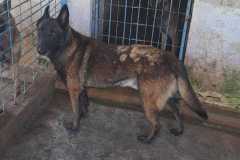 2a919ad5-d70c-4ecf-9dbd-58ba16526949