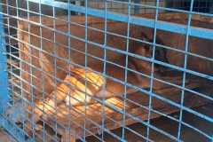 2e9b4f22-d92a-49a9-9e7a-4c9ffe573b73