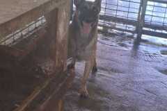 7de33e16-7f54-456e-bb59-d8c7458e9562