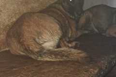 89dca046-b3f2-46e7-932d-7926fad16f99