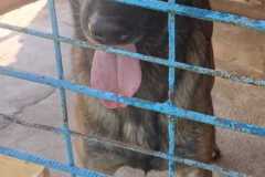 bf9f81ef-08c0-416e-a695-b44cdc605fdf