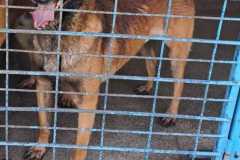 d418d5c9-891a-4a04-968e-cd8725b74996