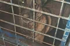 d4c208f6-bd11-48f9-b723-fe28325da03b