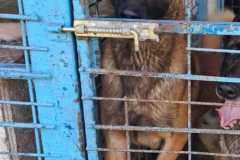 f8aad7d9-b1c1-4405-b6e3-13edb8c7c4ba