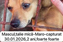 27.02.2026.10