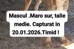 27.02.2026.18
