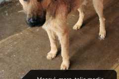 WhatsApp-Image-2026-02-06-at-12.48.05-4