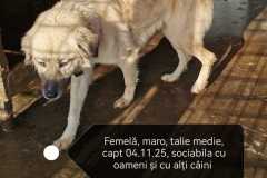 WhatsApp-Image-2026-02-06-at-12.48.05-6