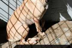 WhatsApp-Image-2026-02-06-at-12.48.06-3