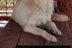 WhatsApp-Image-2026-02-06-at-12.48.06-4