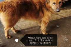 WhatsApp-Image-2026-02-06-at-12.48.06