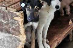 WhatsApp-Image-2026-02-06-at-12.48.07