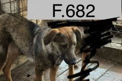2_cffb7a51-e0ba-463f-b6e4-be9959af11f8