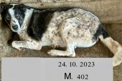 2_d9500822-04da-44b7-8604-af81dded2774