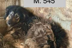 2_fb97d656-3bb7-464d-972d-d246373d0cb4