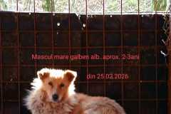22.04.2026.9