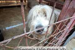 WhatsApp-Image-2025-11-17-at-11.18.35