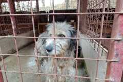 WhatsApp-Image-2025-11-17-at-11.18.41-2