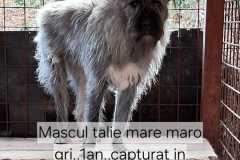 WhatsApp-Image-2025-11-17-at-11.18.41-3