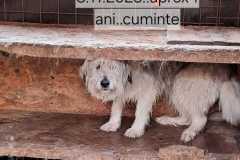 WhatsApp-Image-2025-11-17-at-11.18.42-1