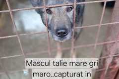 WhatsApp-Image-2025-11-17-at-11.18.42